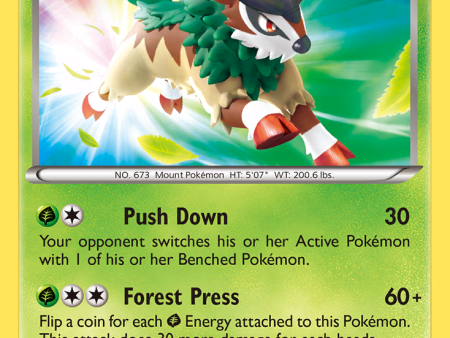 Gogoat (XY16) [XY: Black Star Promos] Online