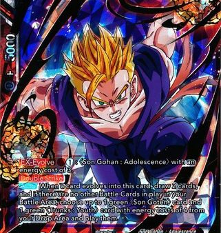 Dependable Brother Son Gohan [BT7-006] For Cheap